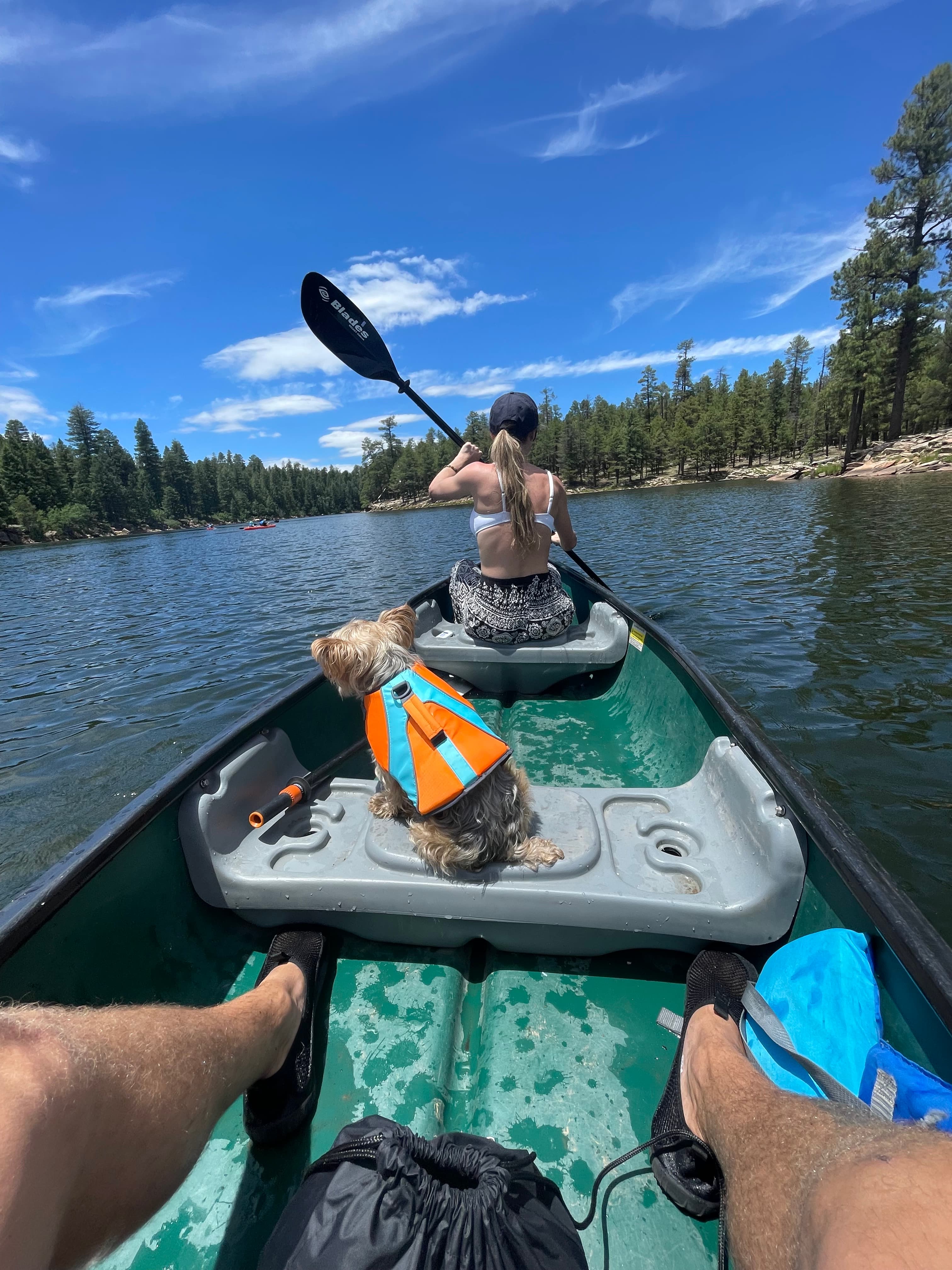 Woman paddling a green canoe on a lake with a small dog in a lifejacket.